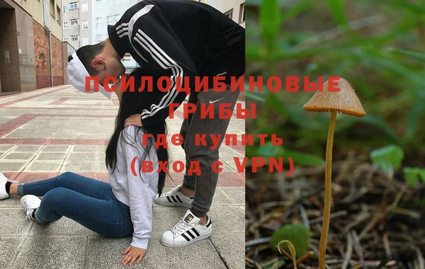 стафф Вязники